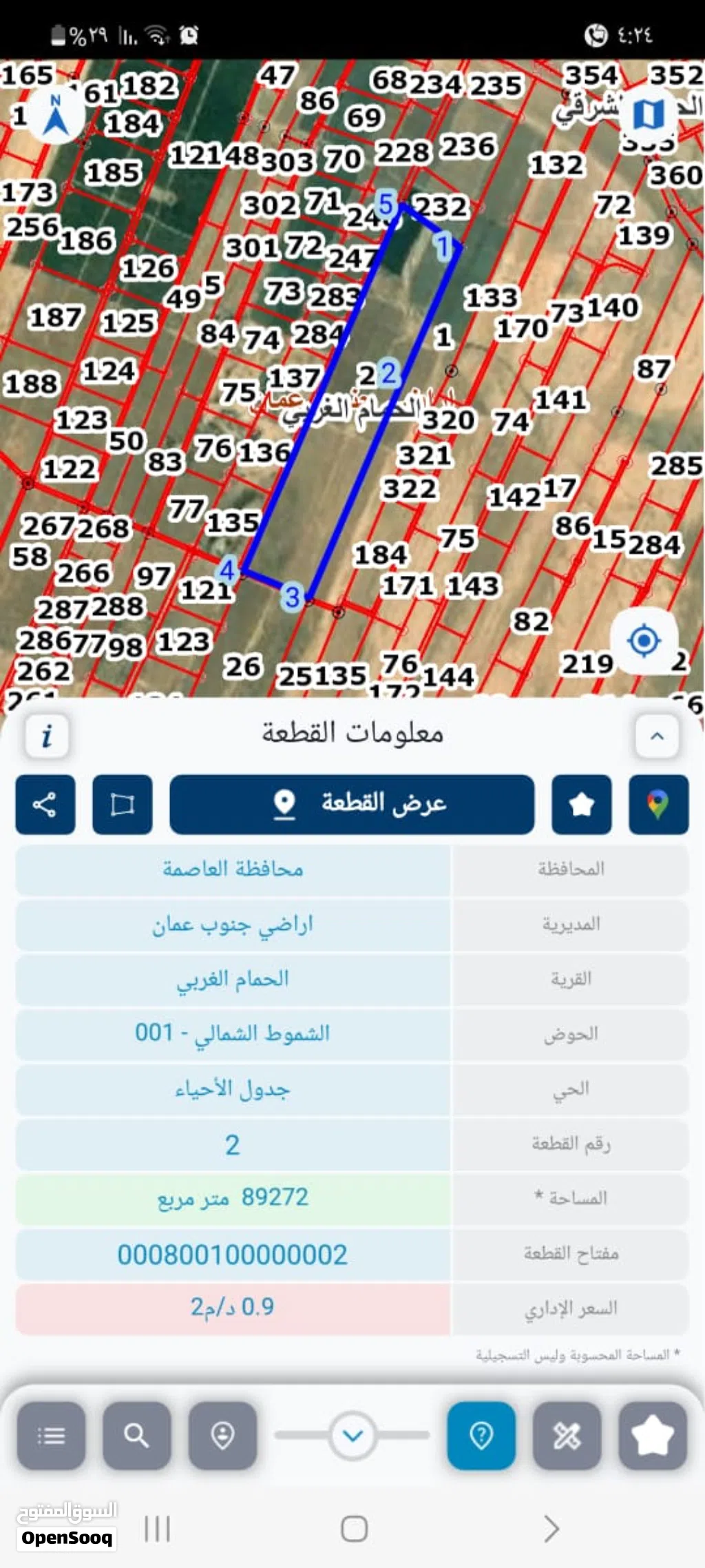 علي القطيفان