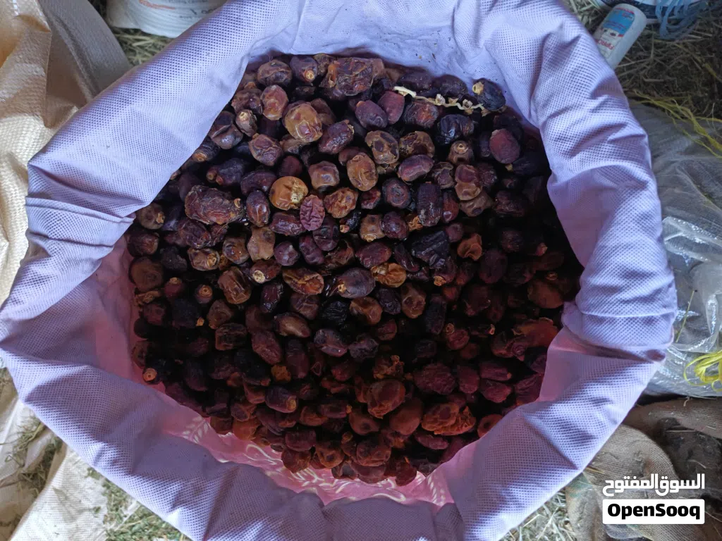 تمر نفيعه للمواشي ما شاء الله نظيف مال جداد نثز جداد السنة جواني عيش 35 كيلو