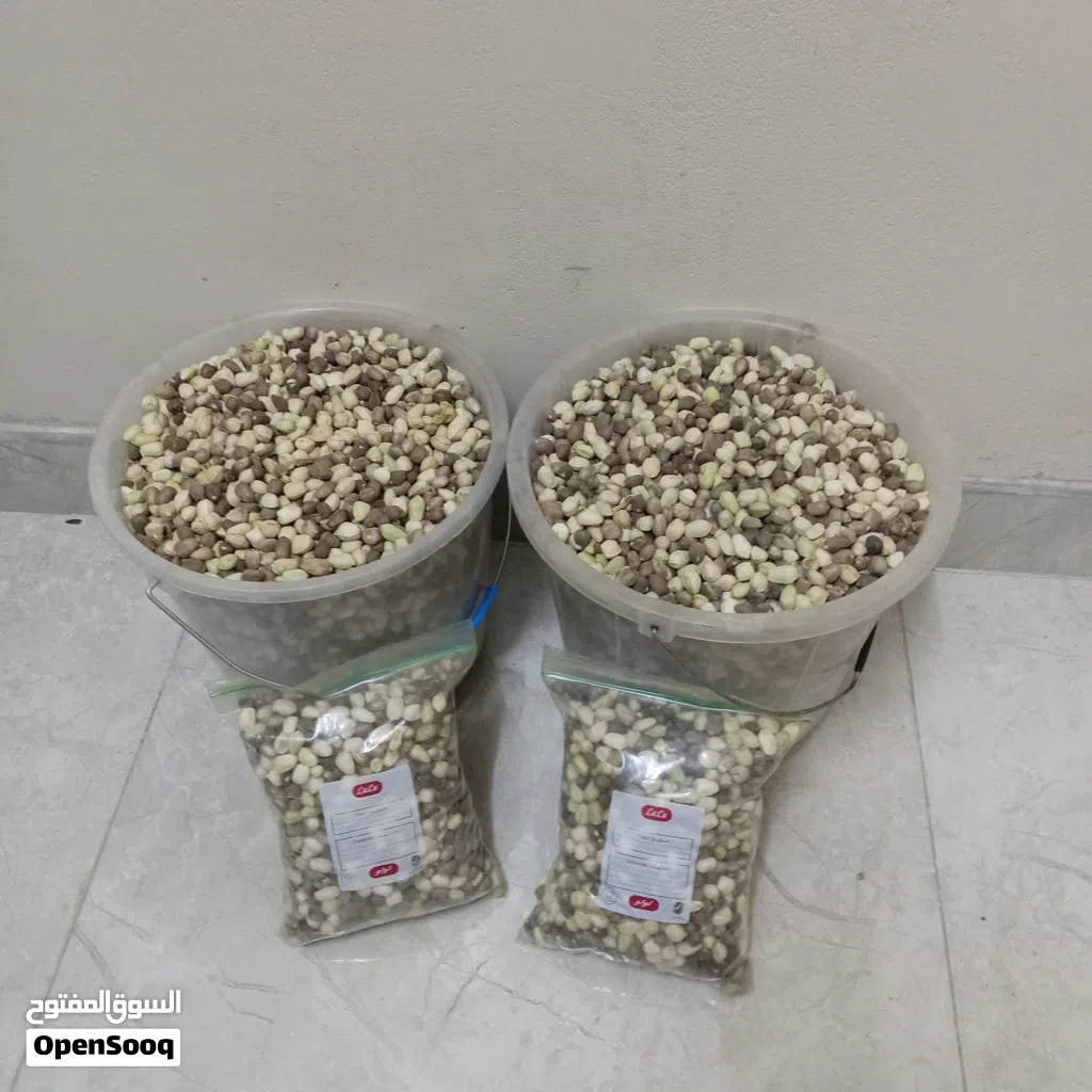 للبيع بذور الشوع أقرأ الوصف