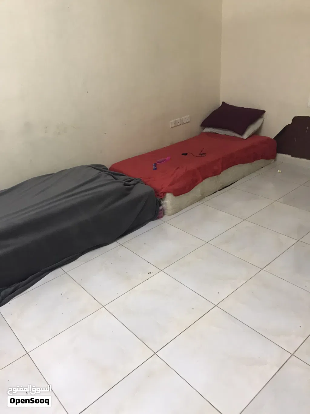 سكن مشترك للايجار