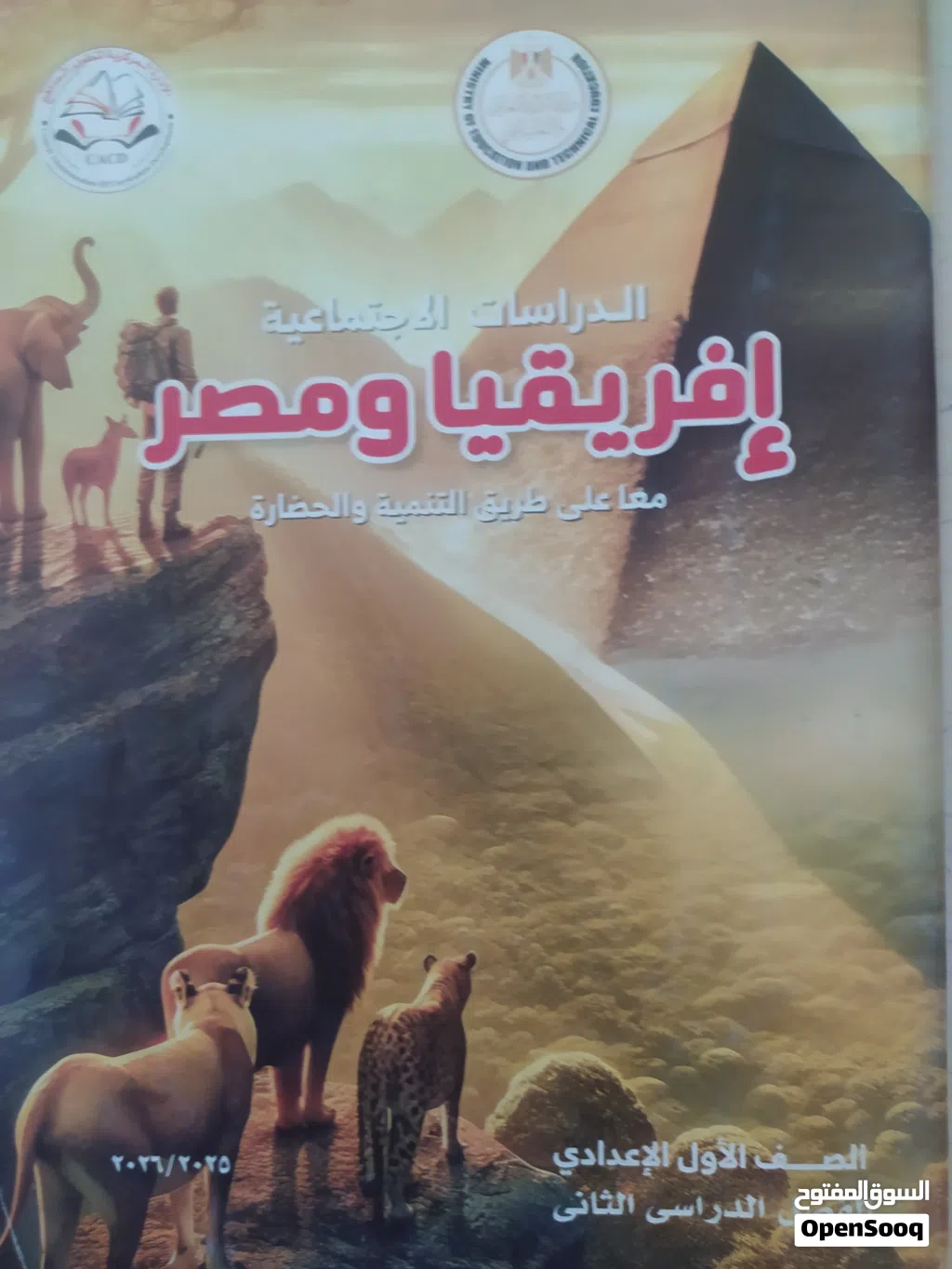 كتاب افريقيا و مصر