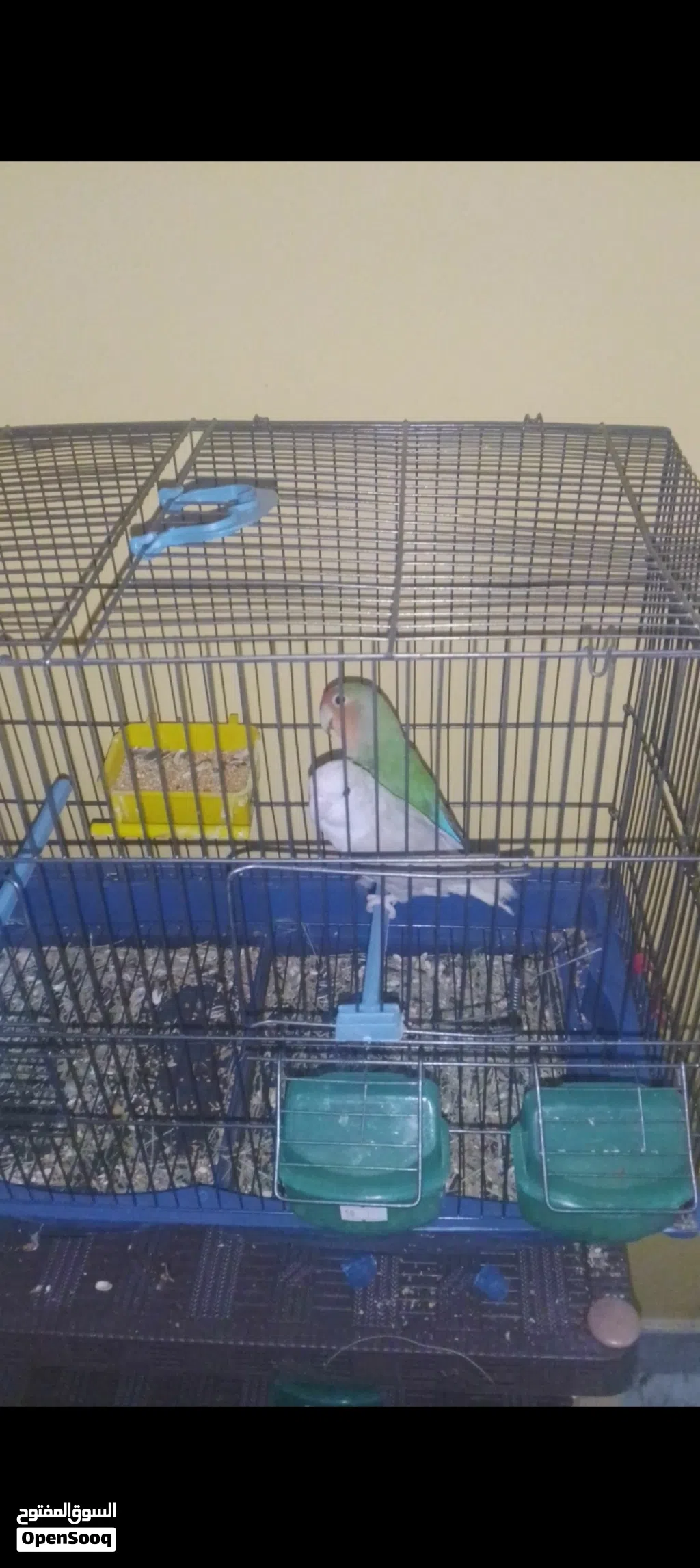 كوبيه بركديلو منتجه صحه ونضافه ربي يبارك