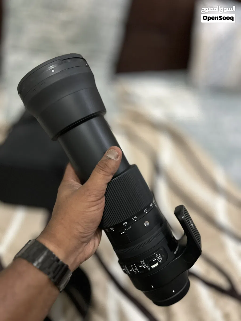 Sigma 150-600mm for Canon EF mount