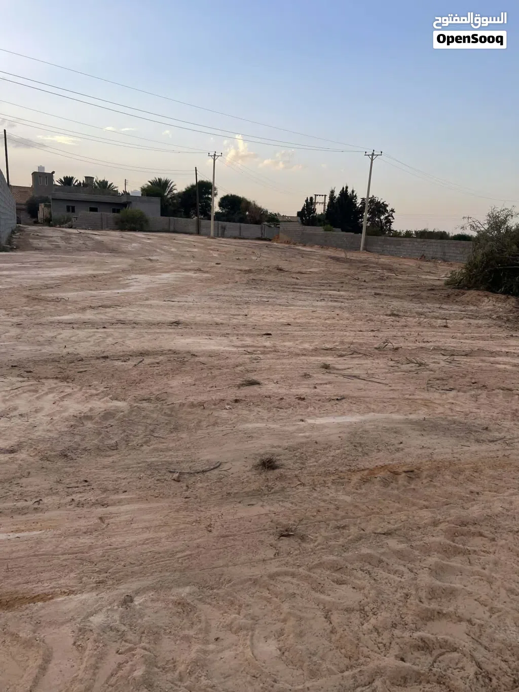 عرض ارض موسي كوسه كزيوني