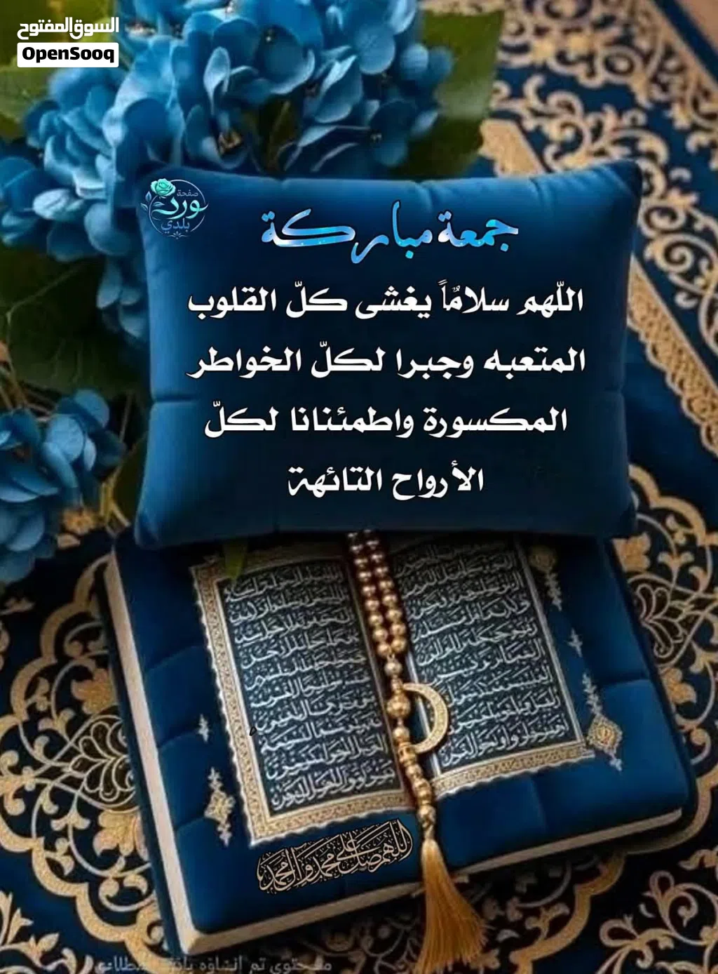 مطلوب شقة للتيجار