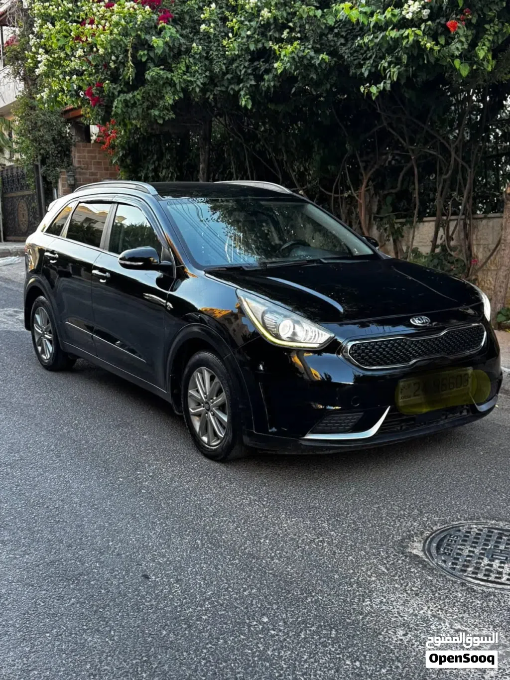 Kia Niro EX