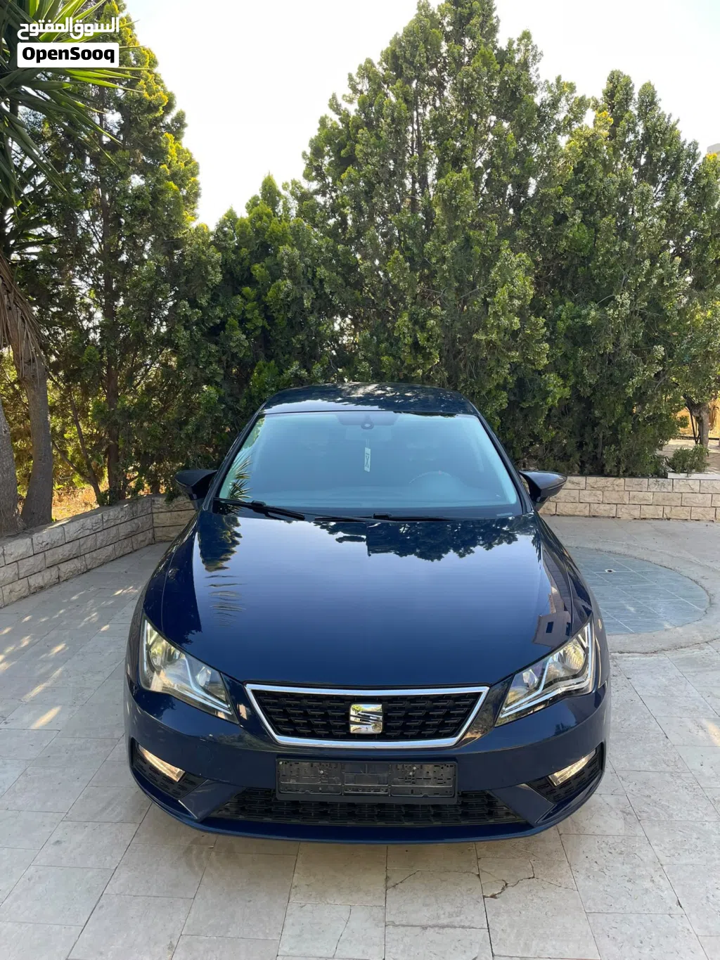 سيات ليون Standard