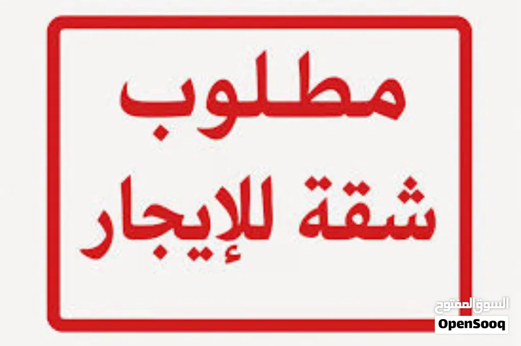 مطلوب شقه او استوديو من المالك مباشره الوسطاء يمتنعون