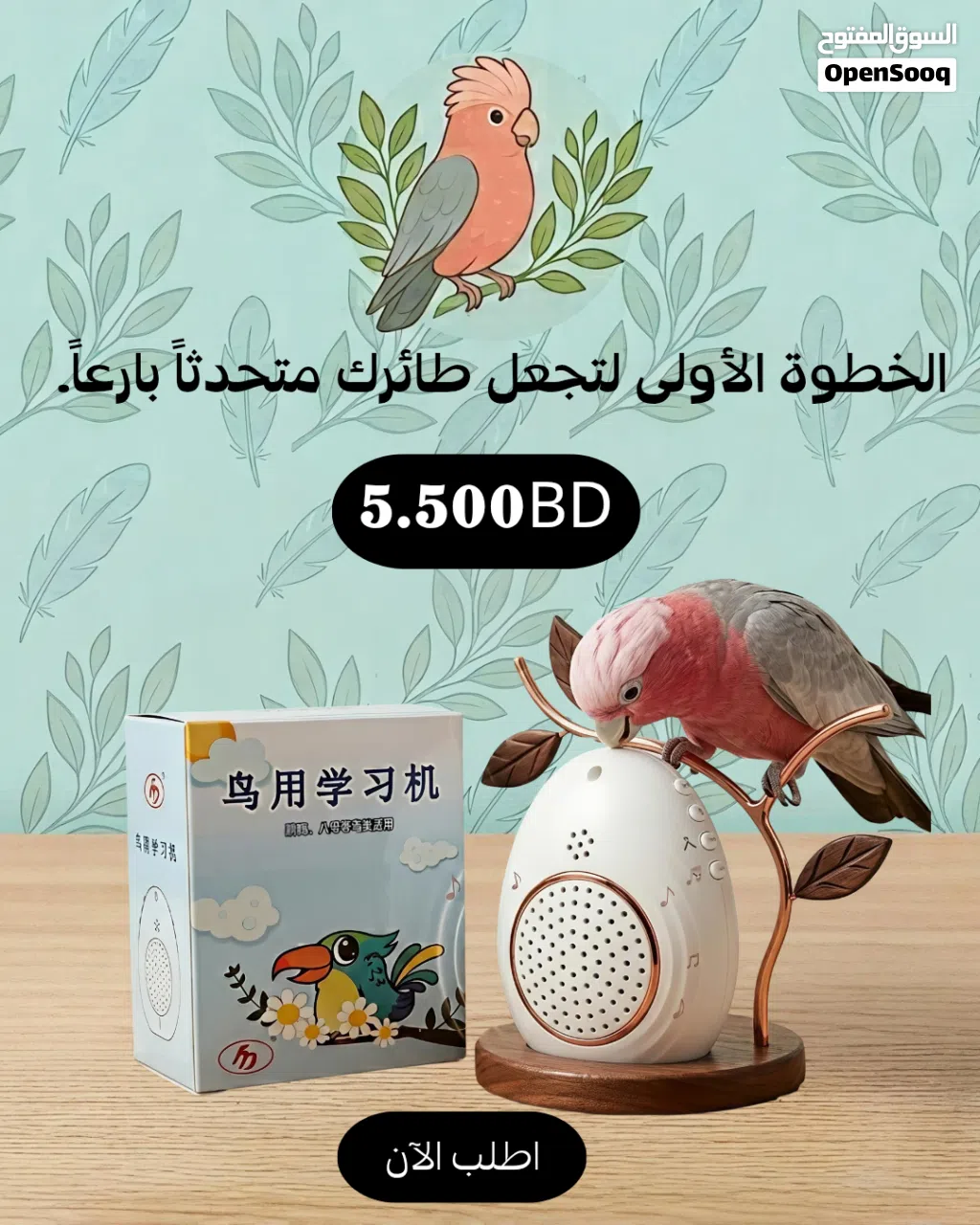 جهاز التسجيل لتعليم الطيور