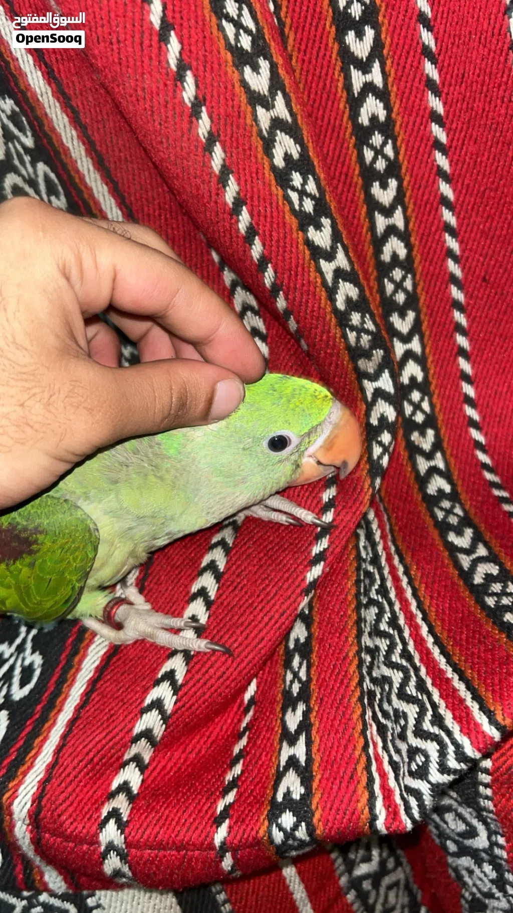 متوه نيبالي