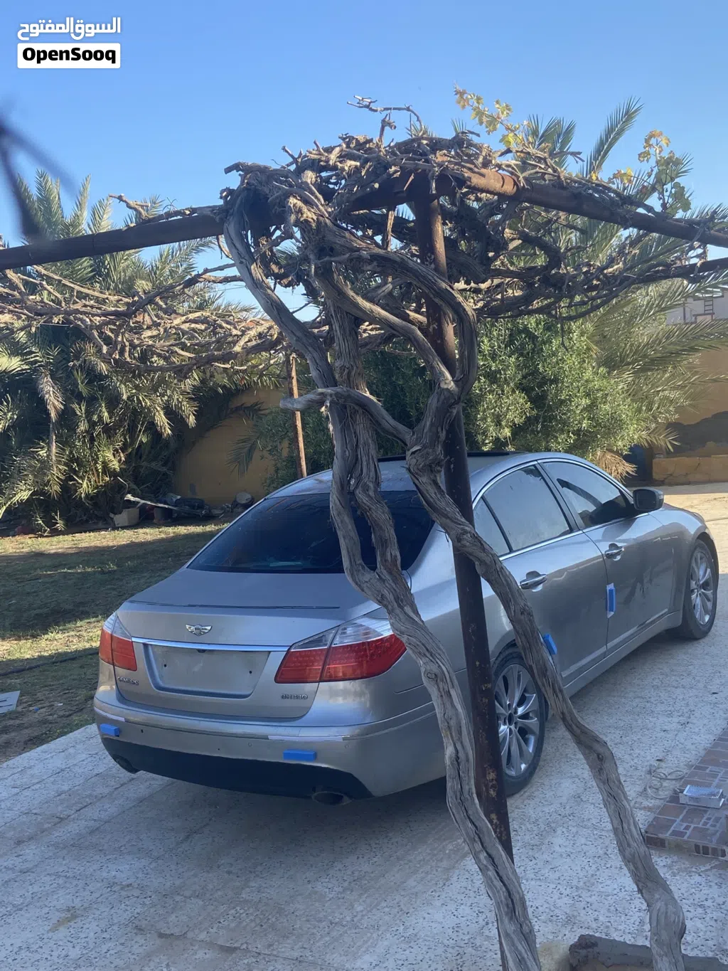 جينيسيس اخرى