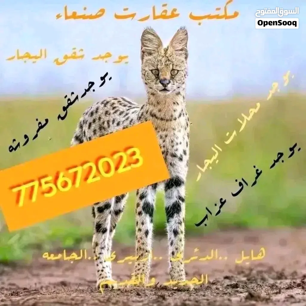 يوجد فتحاااات لليجااار في هائل الدئري ازبيري ارباط