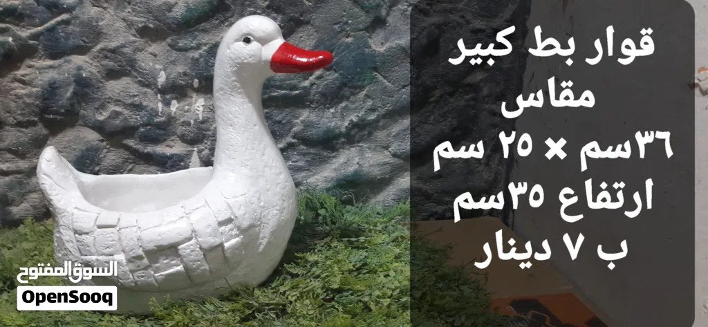 قواوير زرع باشكال البط