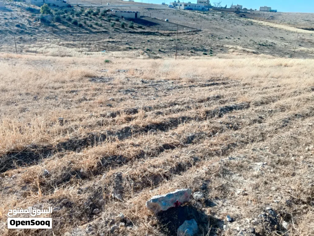 ارض قوشان مستقل حرقققق حرقققق سعر داخل التنظيم جميع الخدمات متوفره بالمنطقه كامل القطعه 4500دينار