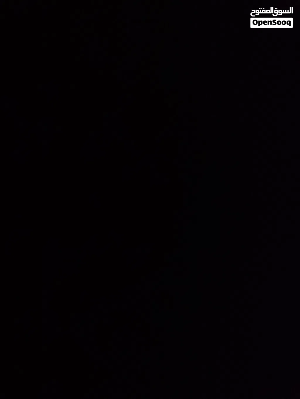 دجاج بلدي وفيومي بياض عدد 28 طير