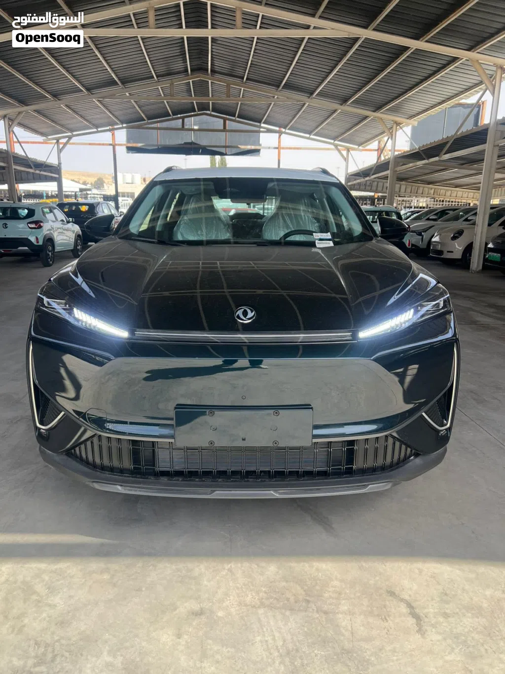Dongfeng Other