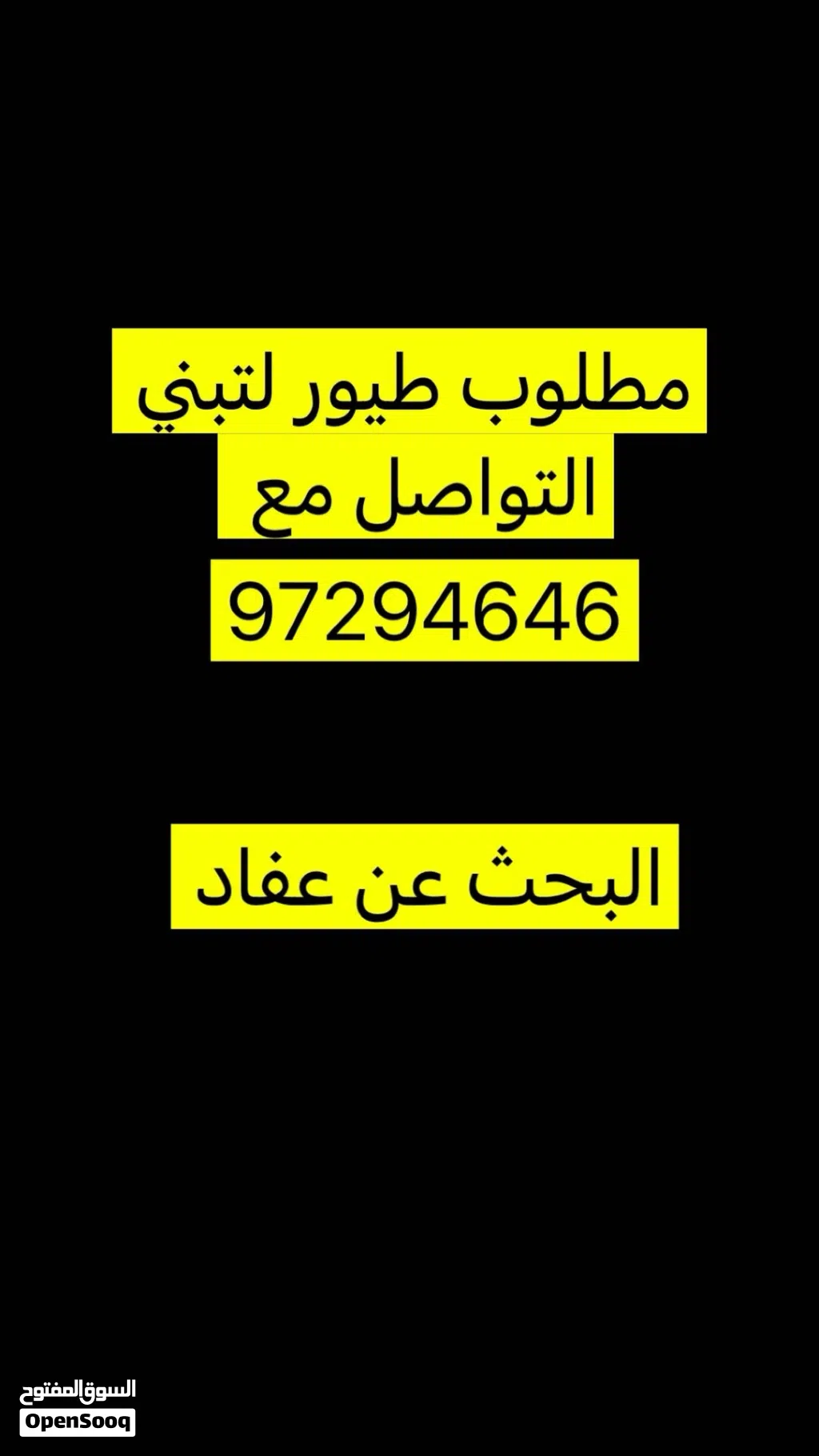 مطلوووووووب طبور لتبني او للبيع