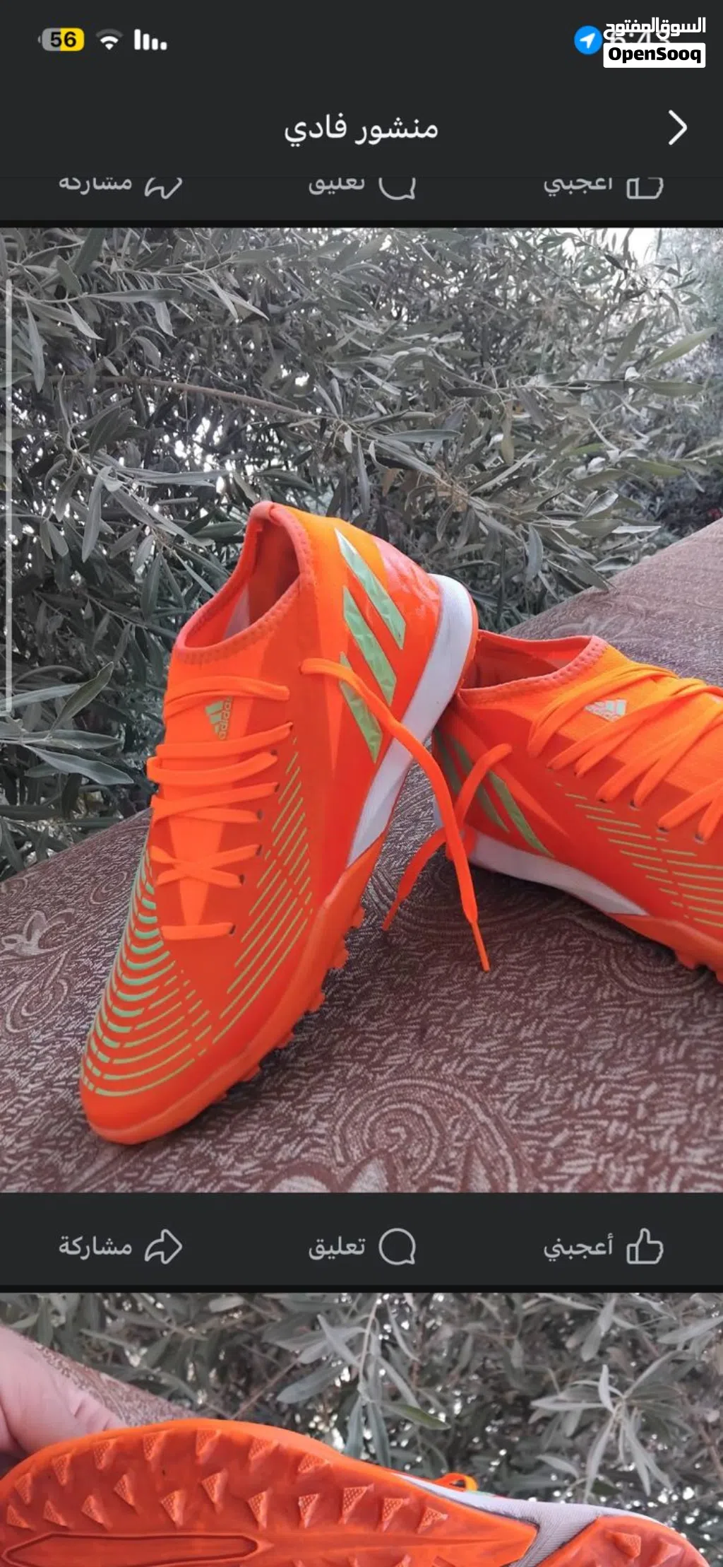 بوت كرة قدم حبيبات اديداس نخب اصلي اوروبي