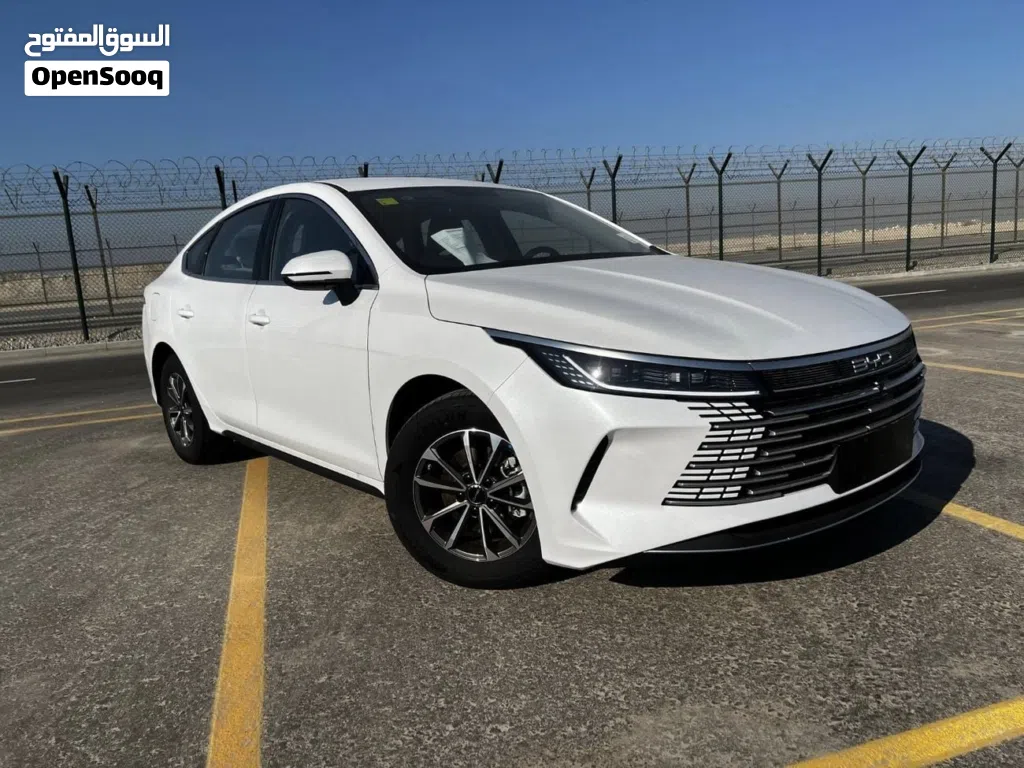 BYD Destroyer 05