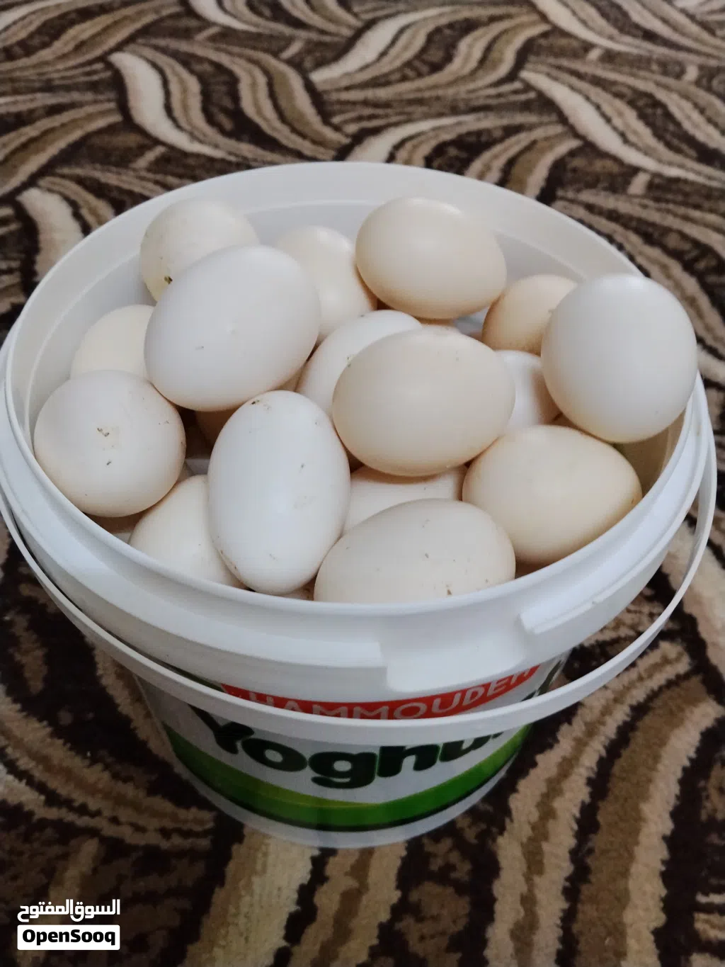 بيض بلدي مخصب للبيع