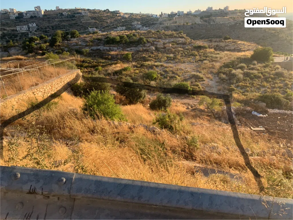 فرصة لا تتكرر - أرض للبيع في تفوح / سطاس