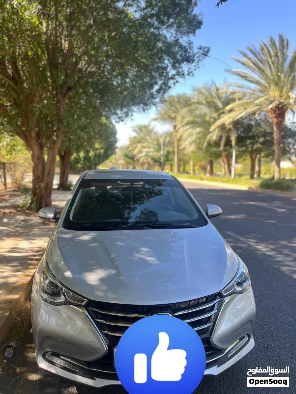 شانجان السفن Alsvin V7 Luxury