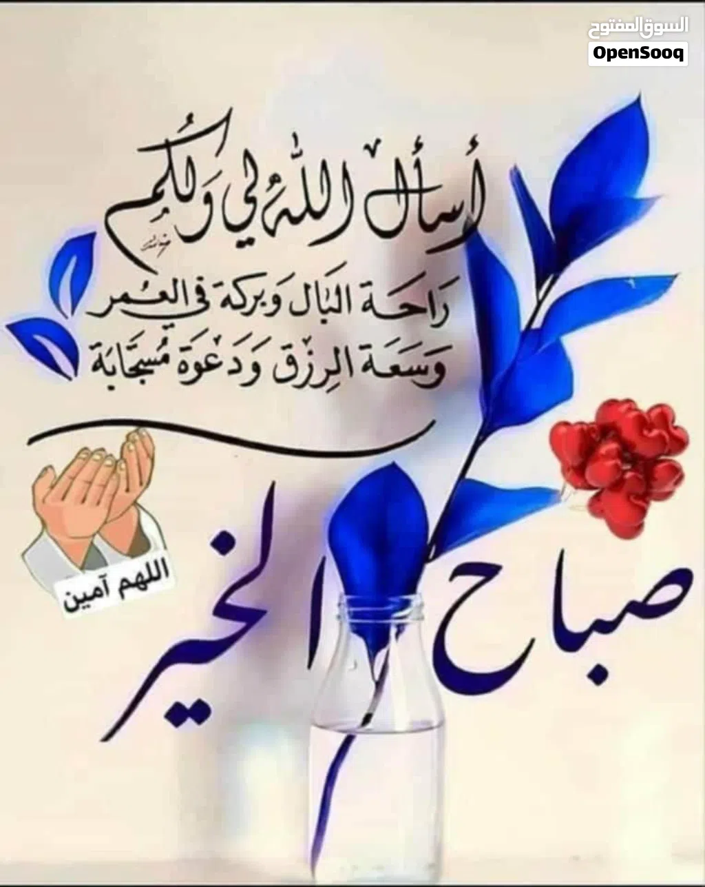 مكينة تنظيف بساطات
