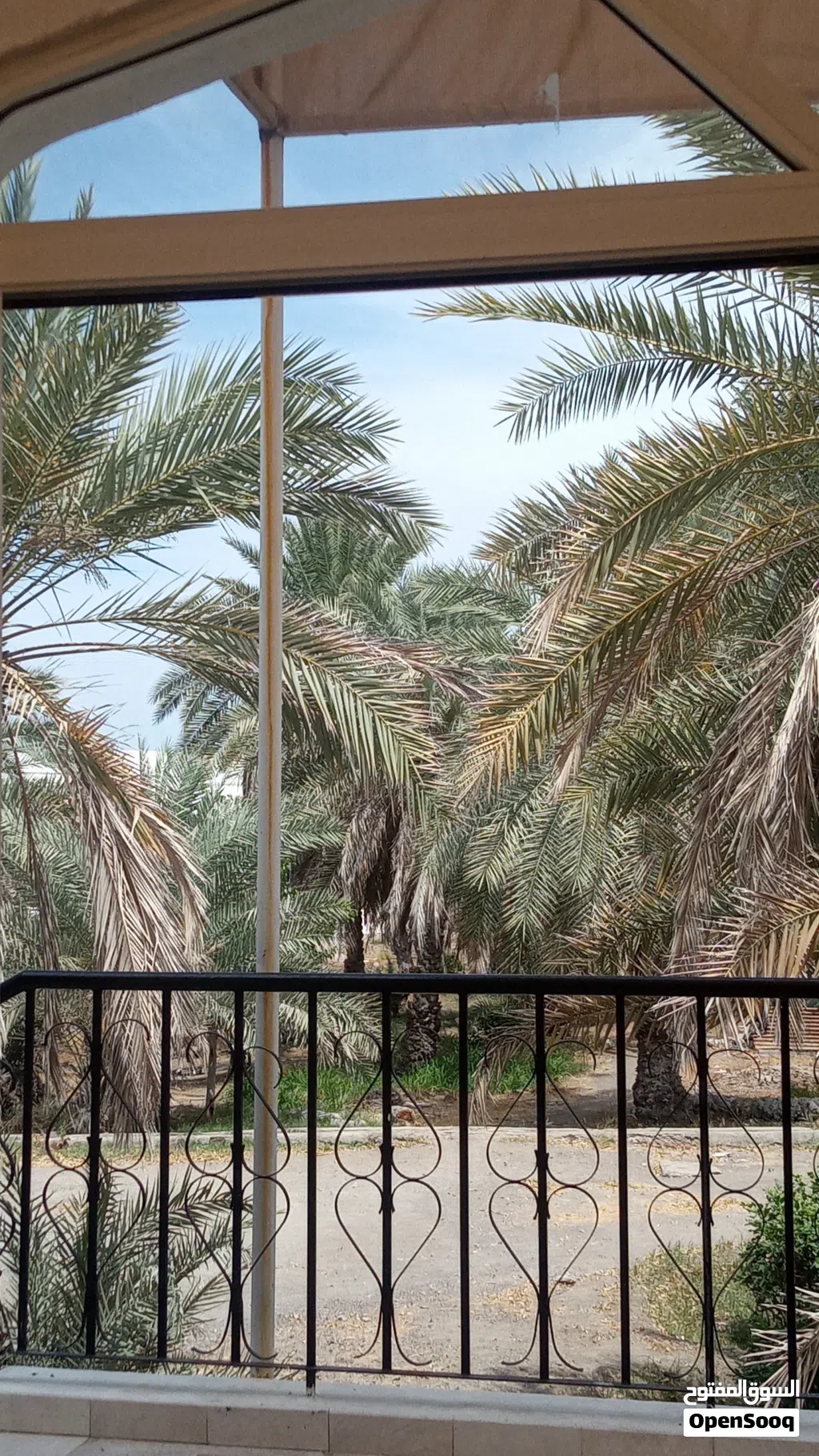 طناء نخيل خلاص