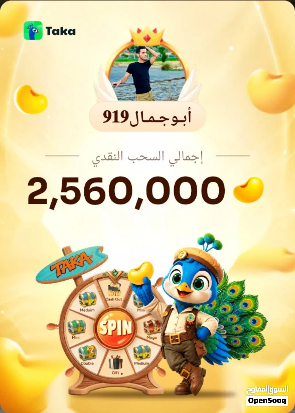 ربح عبر تطبيق
