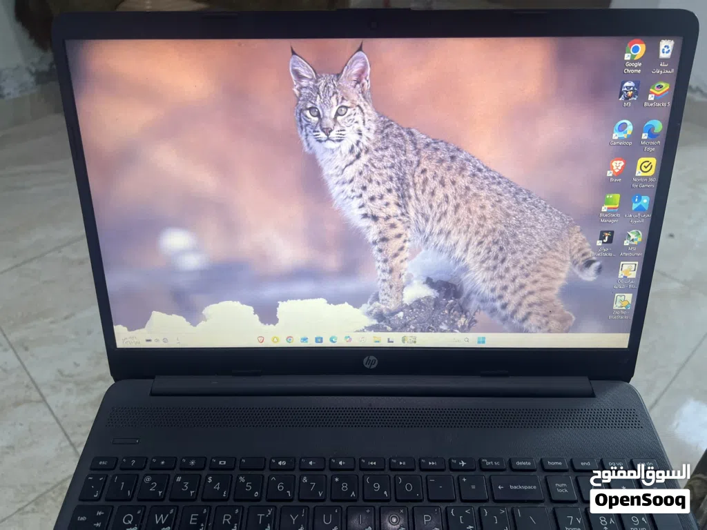 � HP 255 G9 Ryzen 5 5625U RAM 16GB SSD 512GB نظيف جداً 210 دينار �