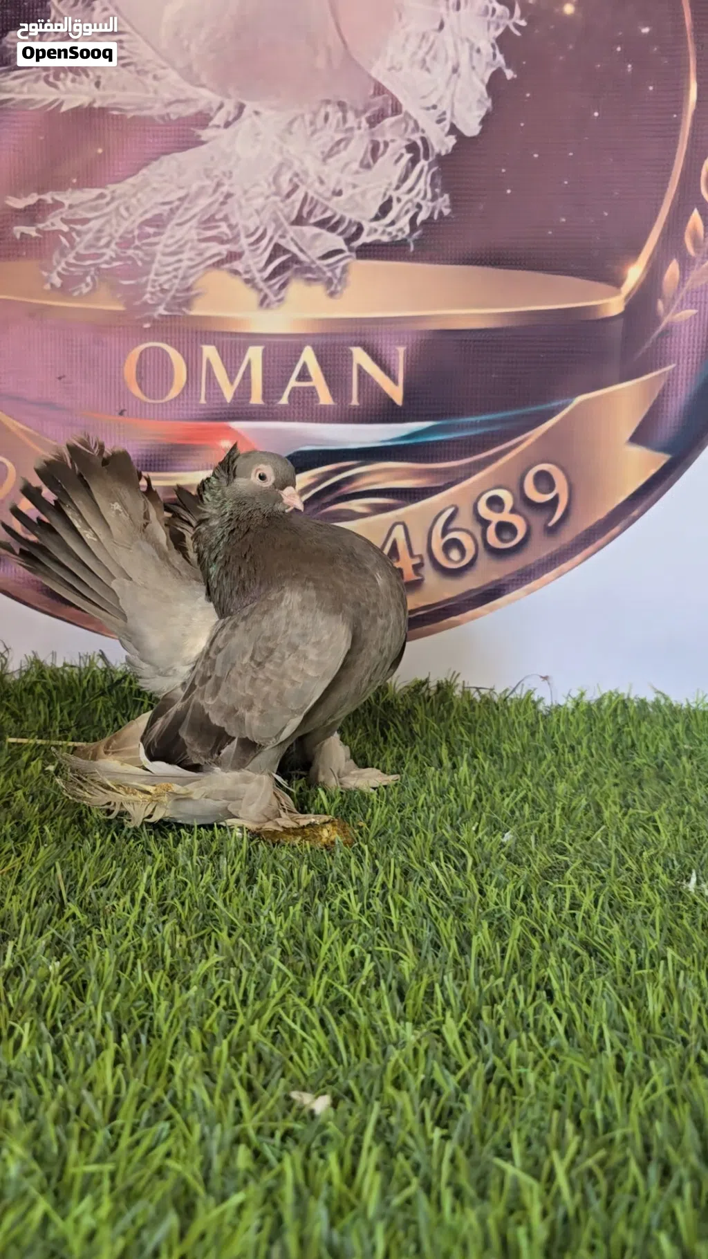 اللبيع
زواج كريجو