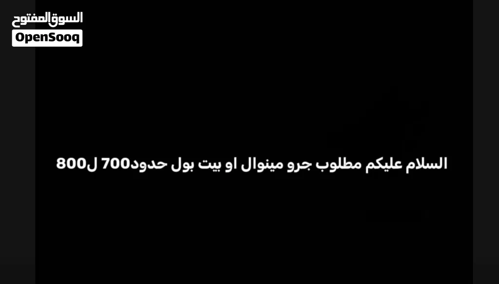 مطلوب جرو مينوال او بيت بول حدود700ل800 مكان صرمان