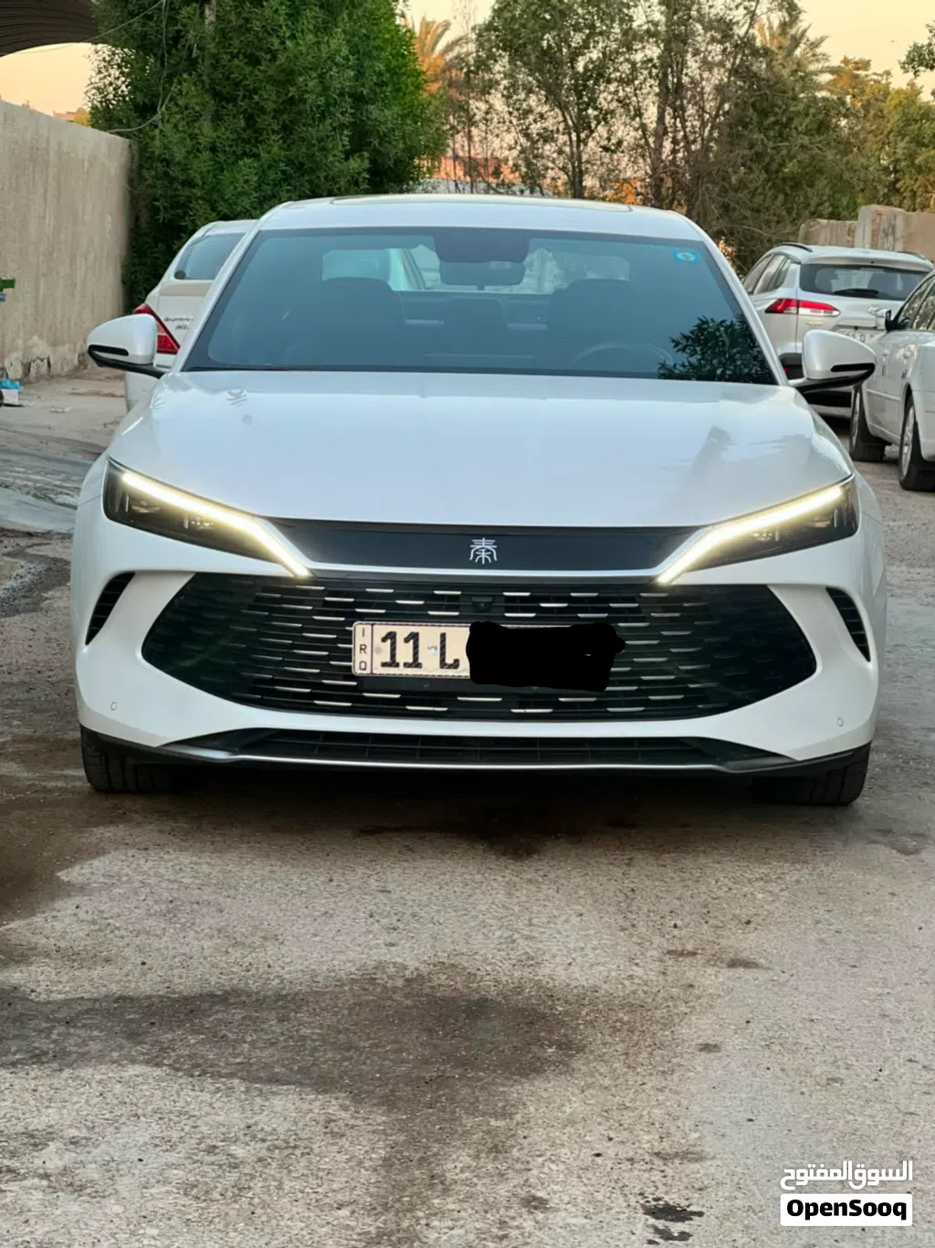 BYD Qin