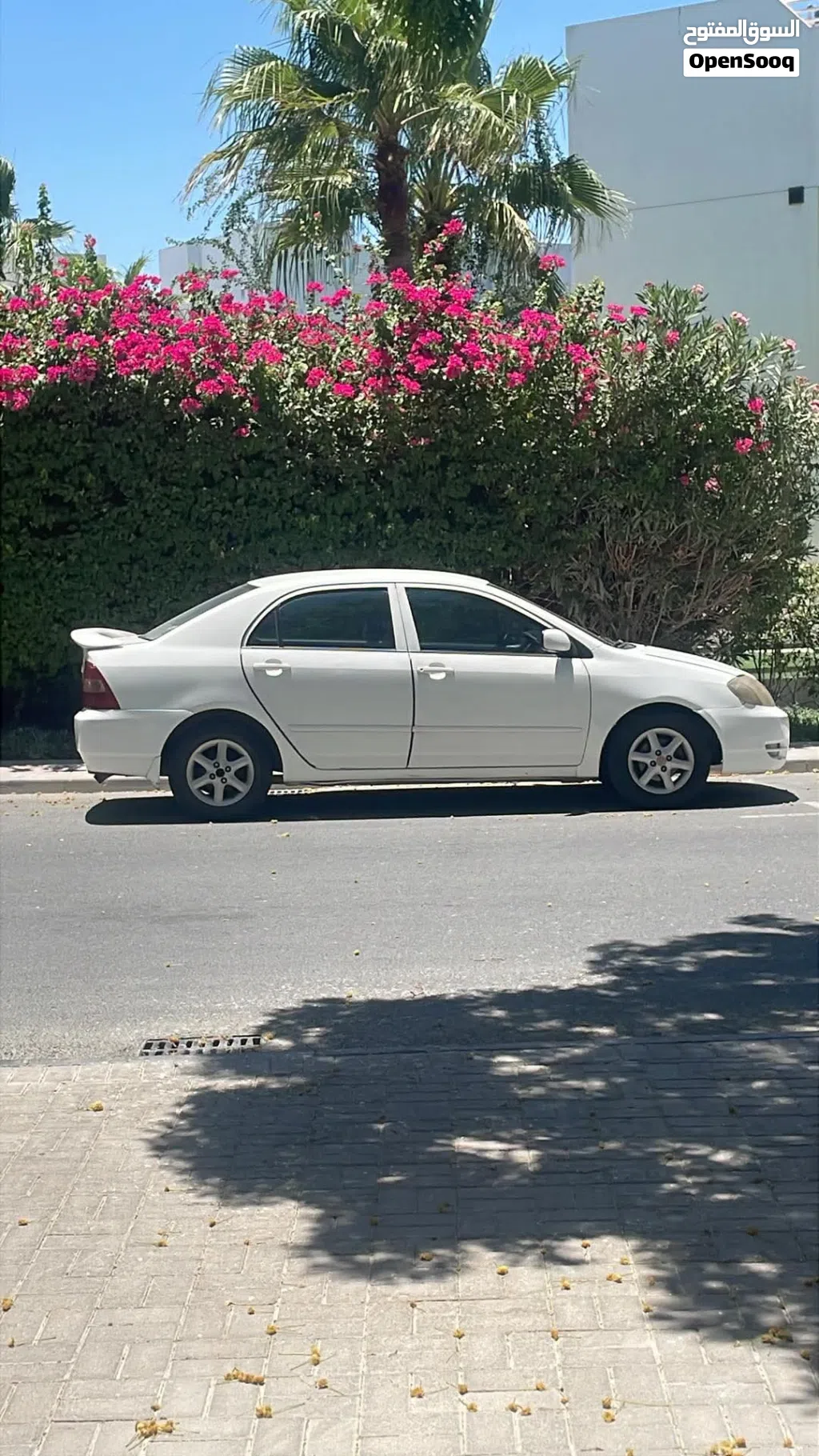 تويوتا كورولا Exclusive