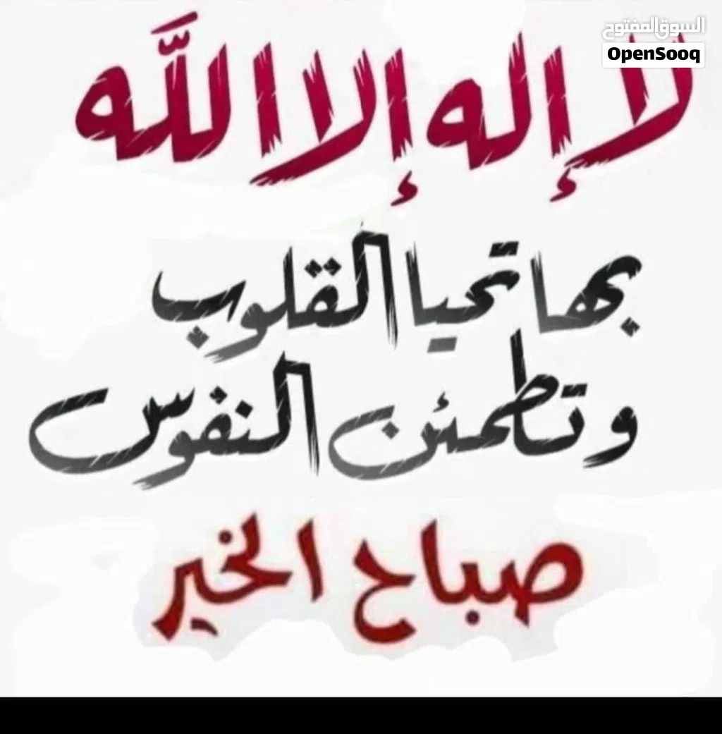مطلوب بقرة حلوب هادئة