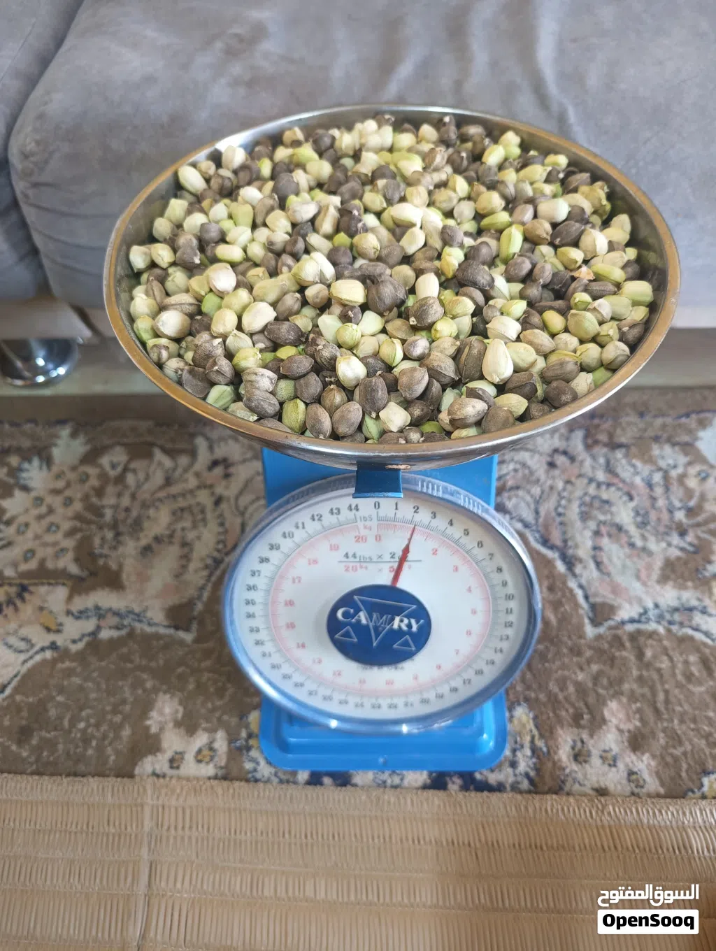 حب شوع للبيع 1كيلو 1.500
