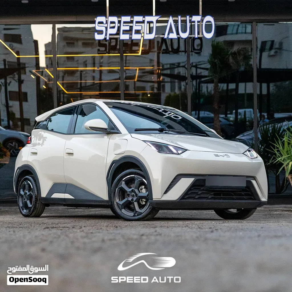 BYD Seagull