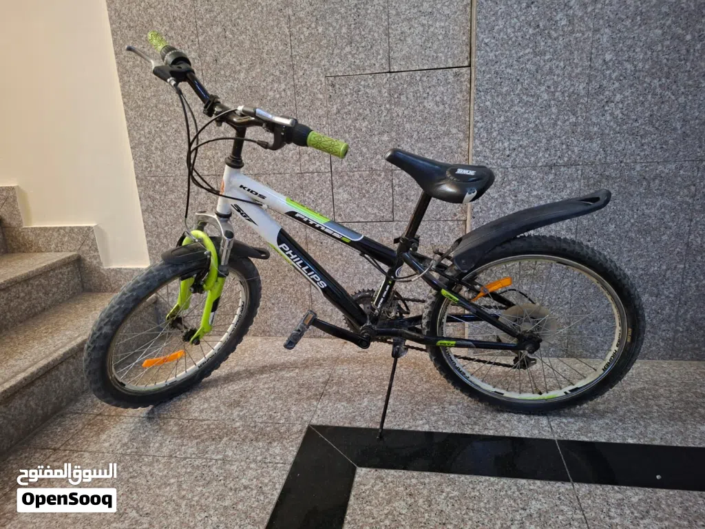 Strong Phillips bicycle.