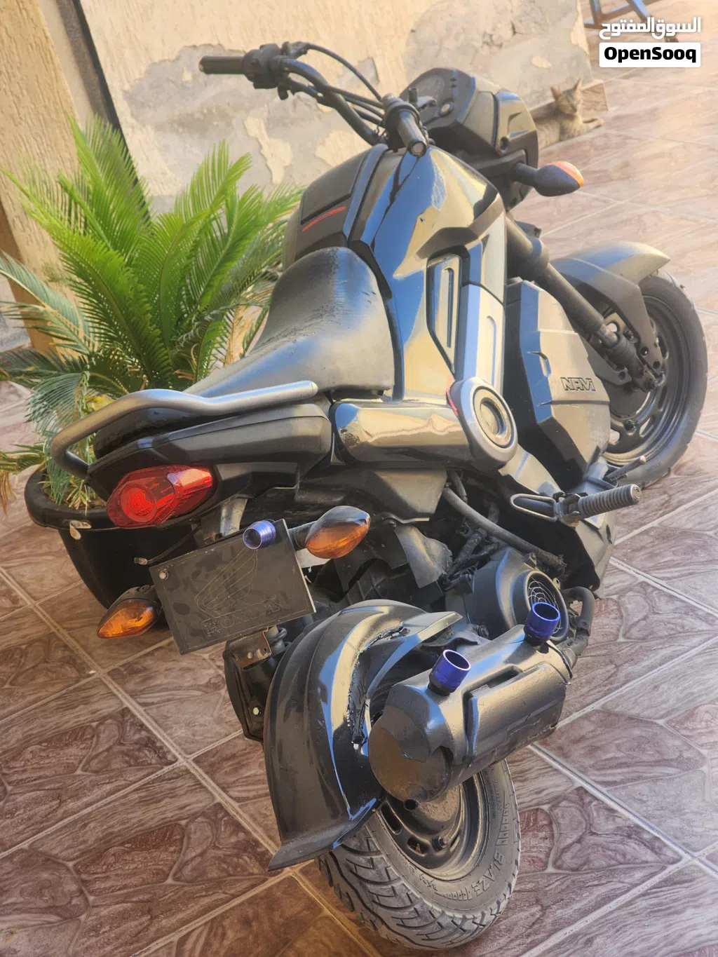 Honda Navi