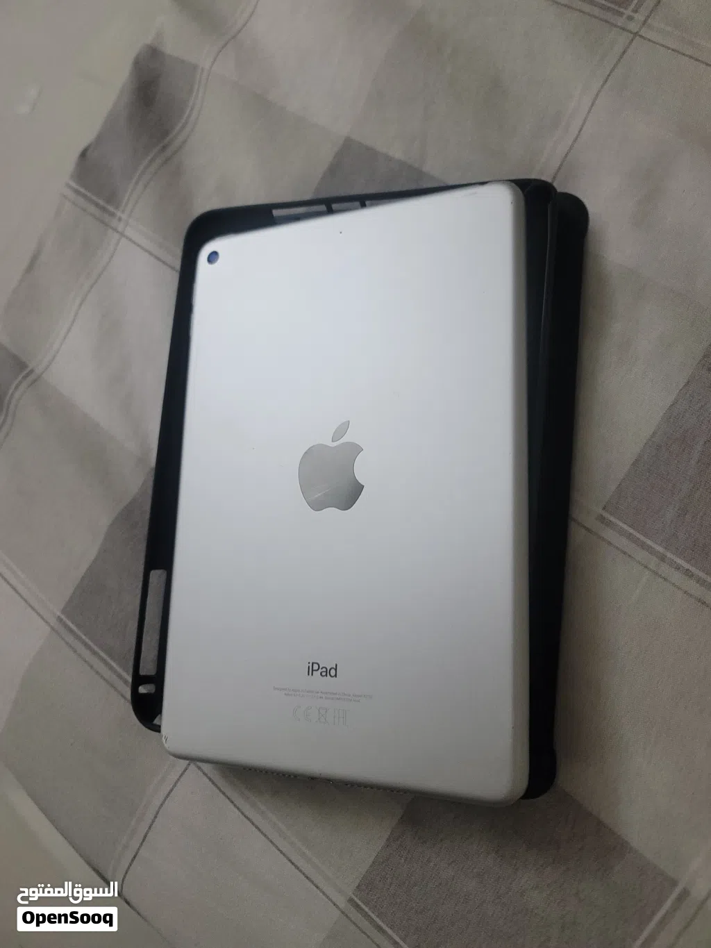 iPad mini 5