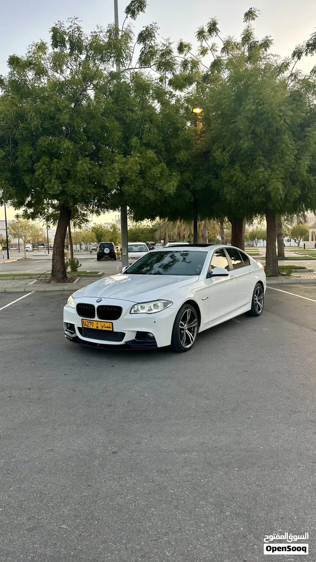 BMW 5 Series 523