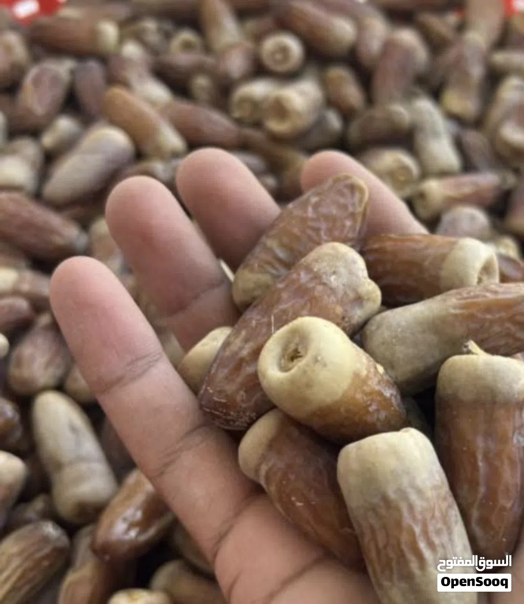 سح نغال بولويف نفيعة للحيون نغال طعام للحيوان زرع