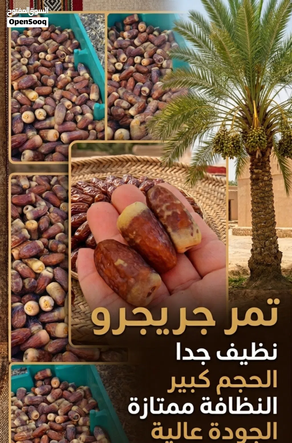 تمر جريجرو