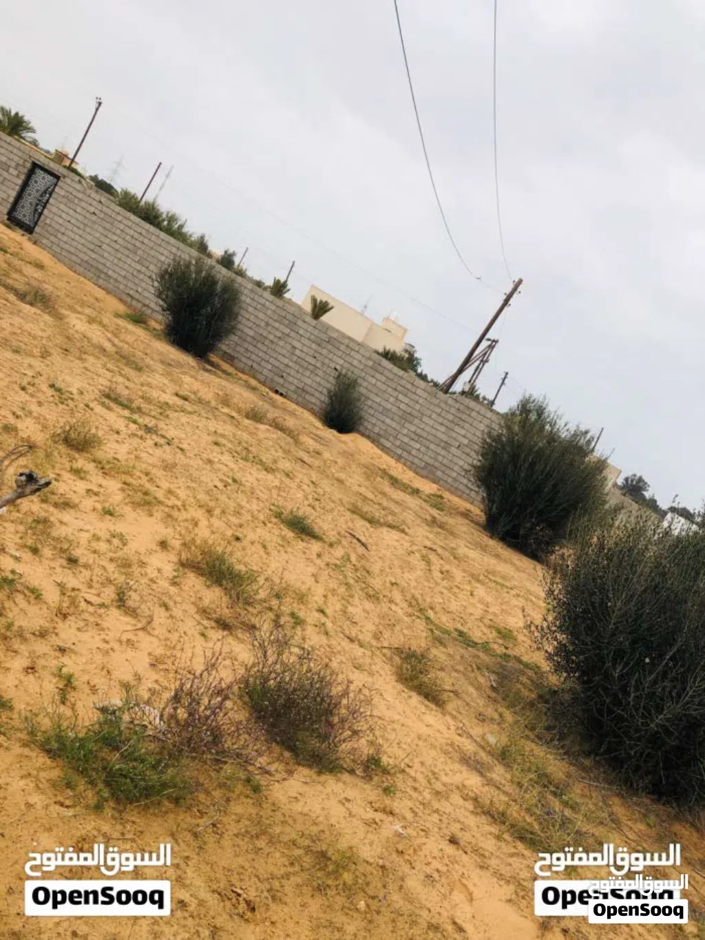 ارض موسي كوسا للبيع من المالك طول