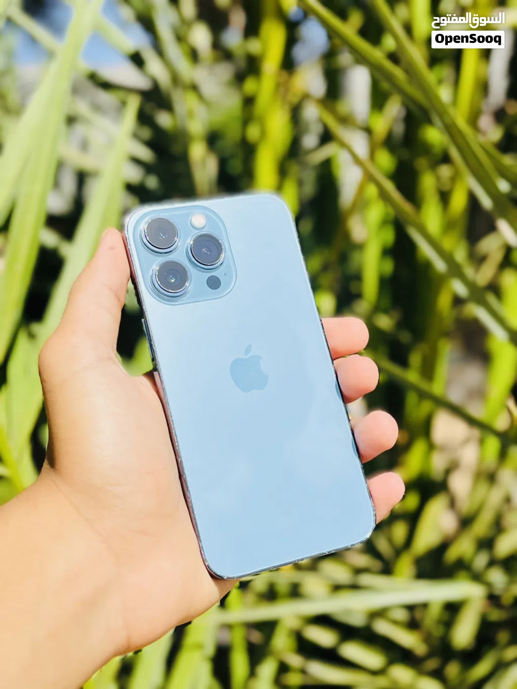iPhone 13 Pro جهاز محلي مش مشطب ربي يبارك وبأقل سعر