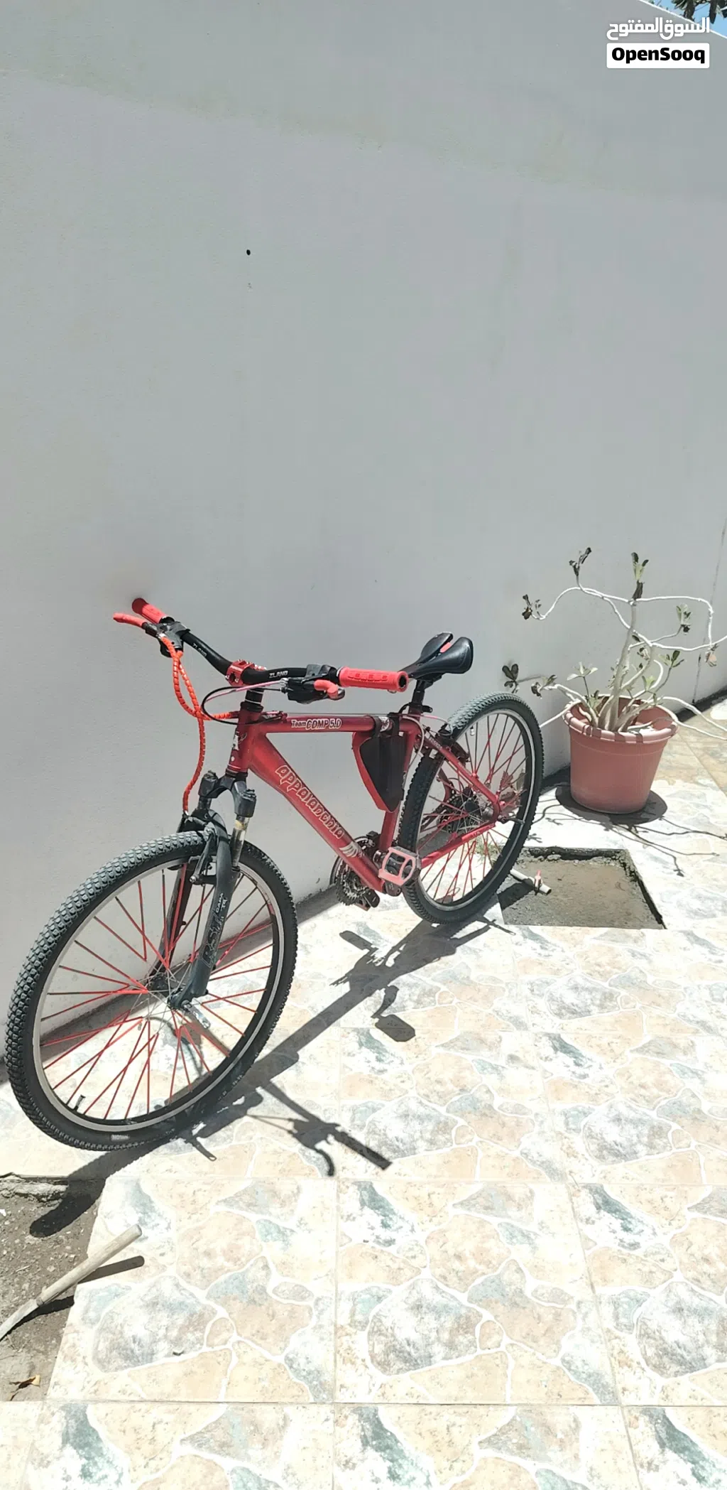 سيكل برازيلي :حجم 26 -مارك SHIMANO-ALIVIO