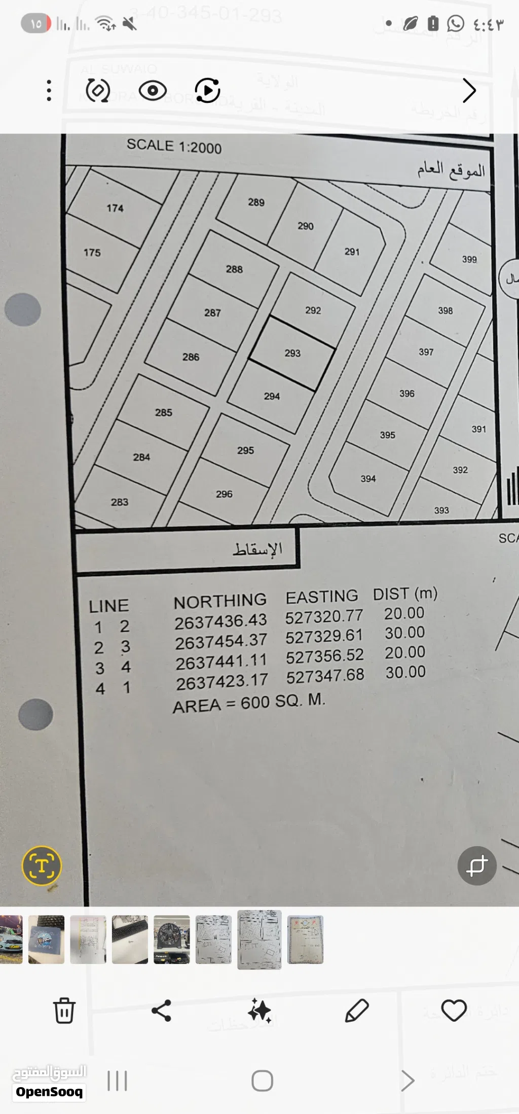 خضراء البورشيد