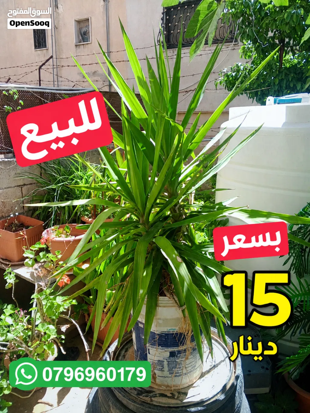 مجموعه رائعه للبيع المستعجل