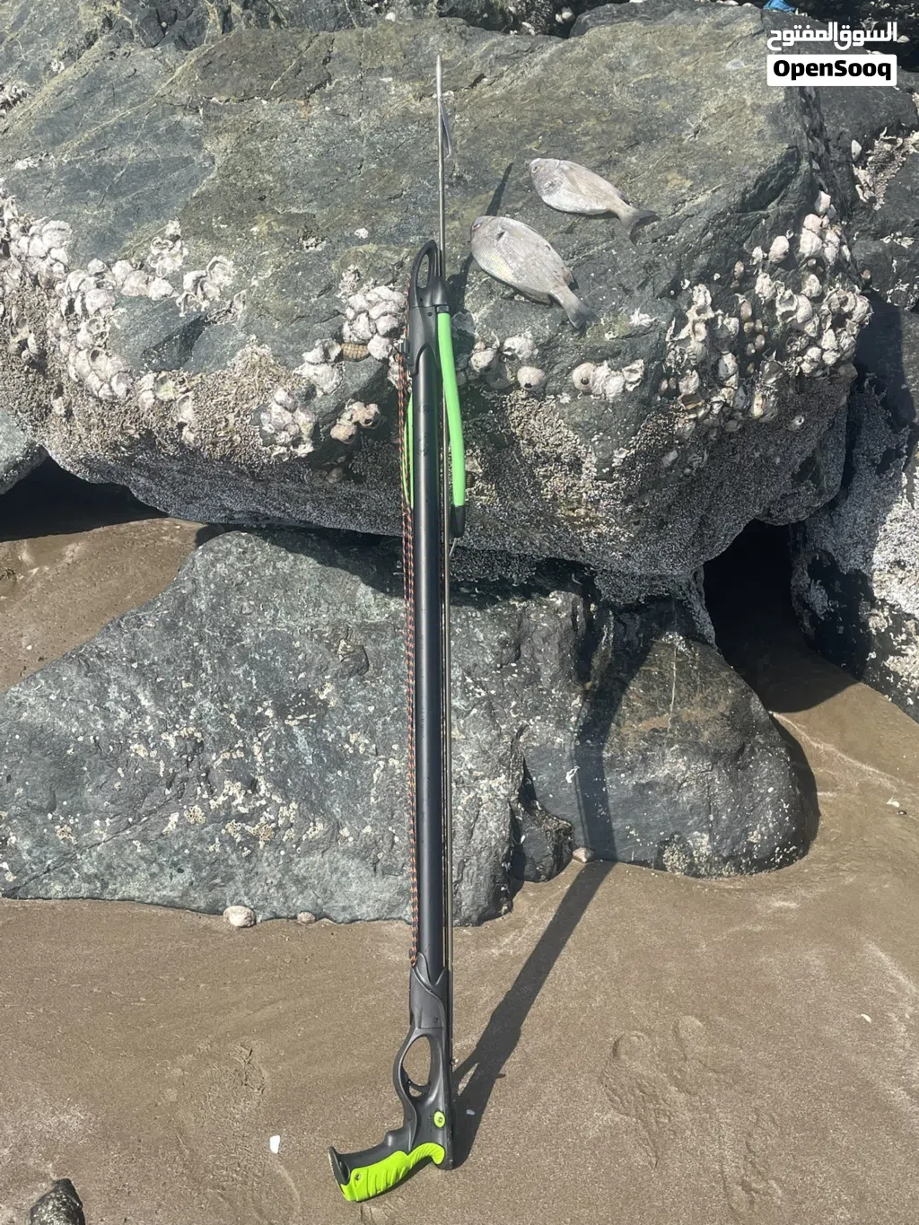 Spear Fishing مع صناره 3 متر
