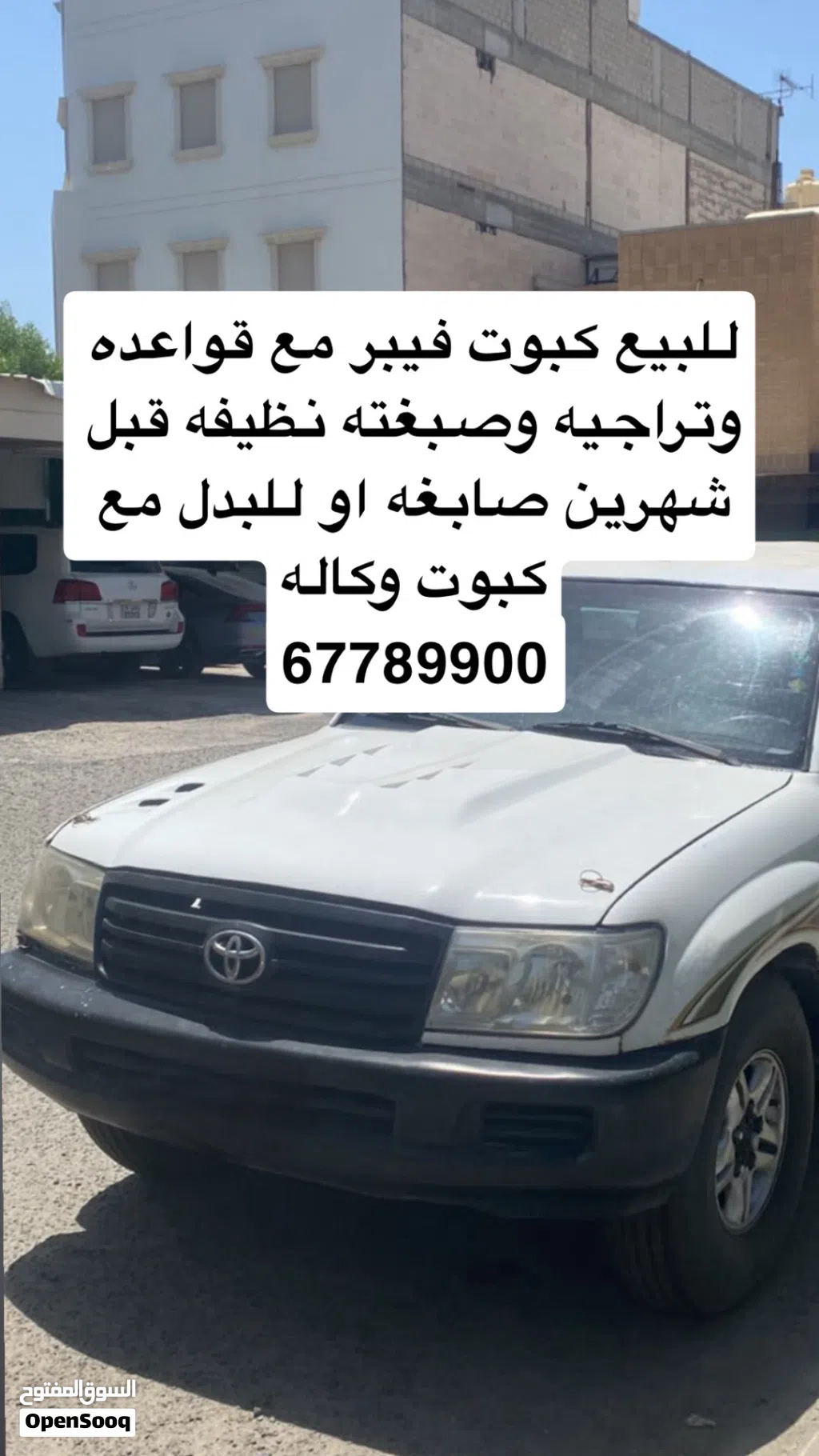 كبوت فيبر ابيض